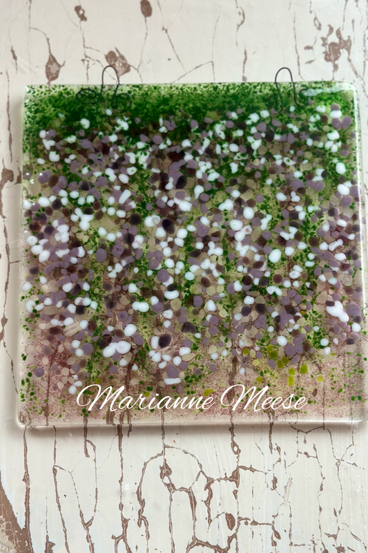 Wisteria