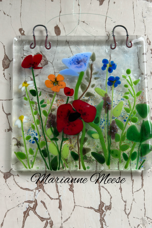 Poppies & Other Wildflowers