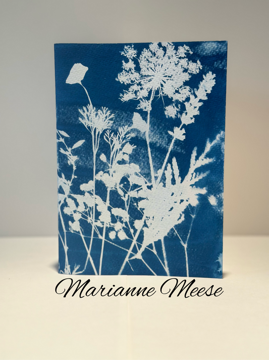 A Midsummer Abundance