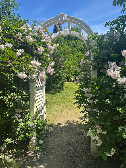 Šeříky -The Hulda Klager Lilac Gardens