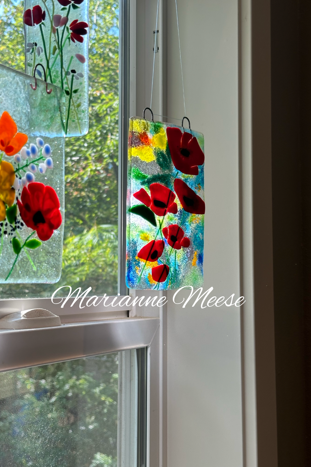 Burst of Color Poppies