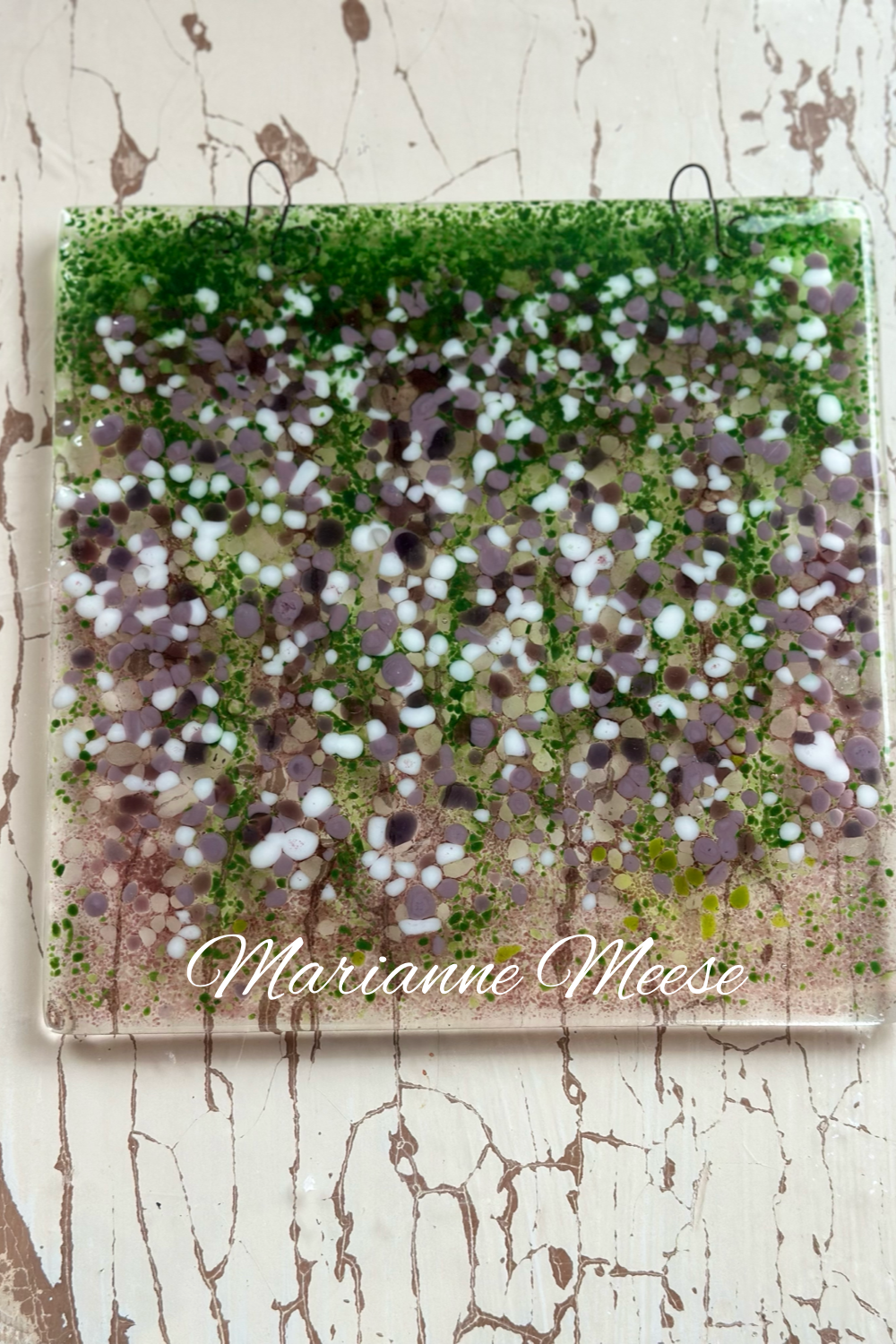 Wisteria