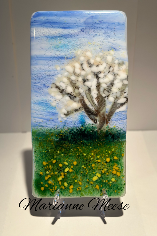 White Cherry Tree