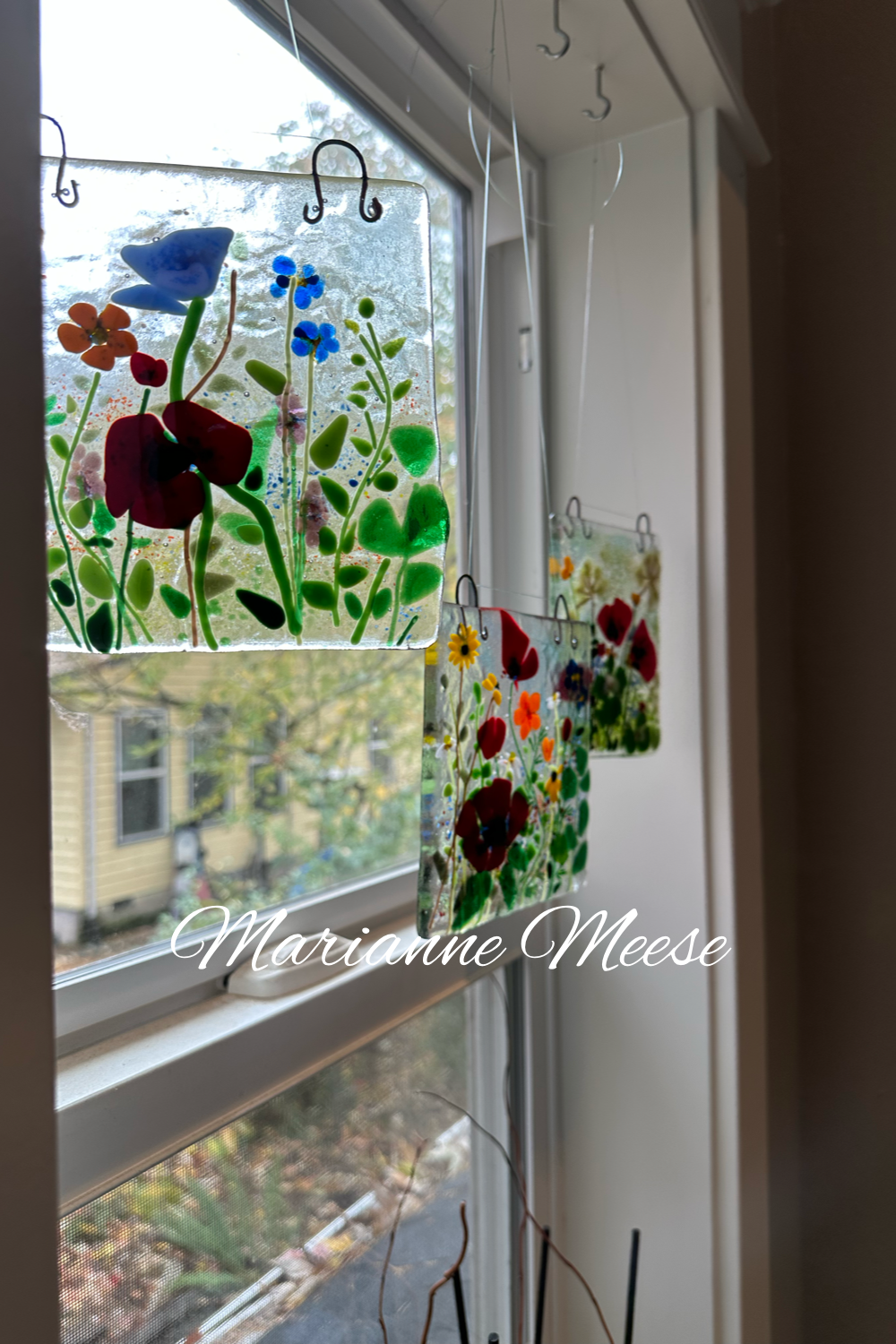 Poppies & Other Wildflowers