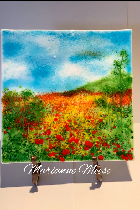 Sunny Day Poppy Field