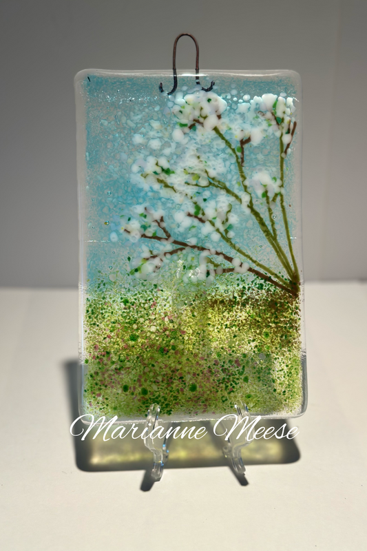 White Cherry Blossom