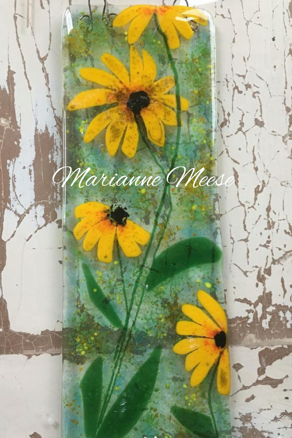 Black Eyed Susan