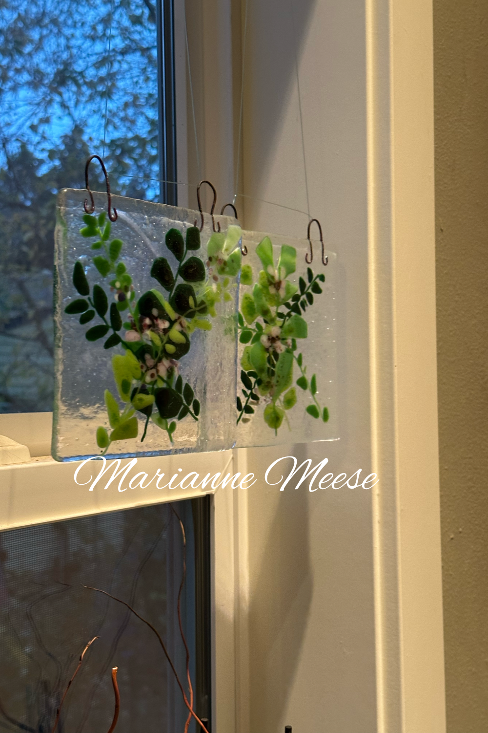 Shadow Fern