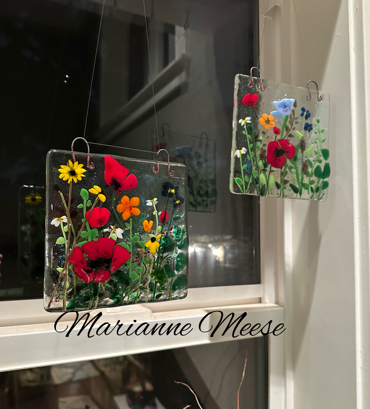 Poppies & Other Wildflowers