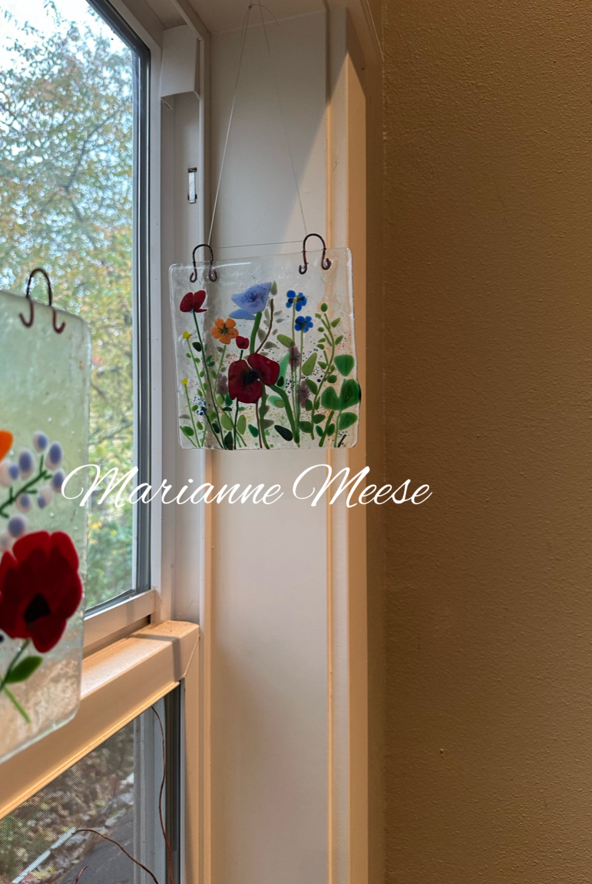 Poppies & Other Wildflowers