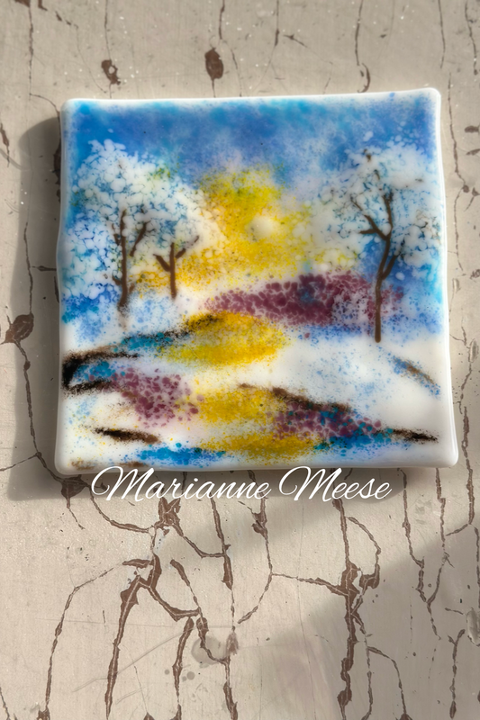 Snowy Path in the Sunlight