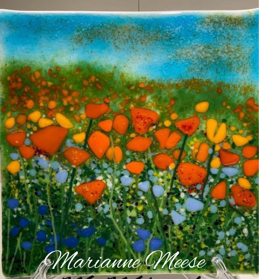 Orange Poppy Field