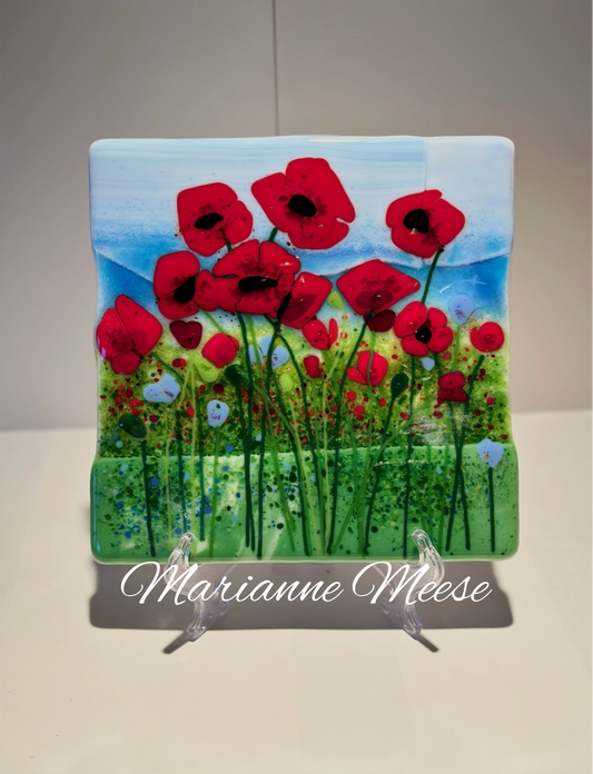Spectacle of Poppies