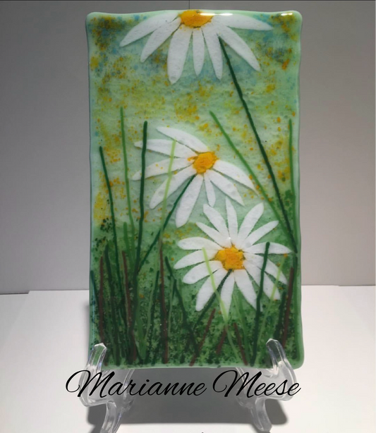 Daisy