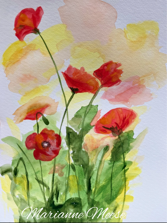 The Golden Hour Poppies