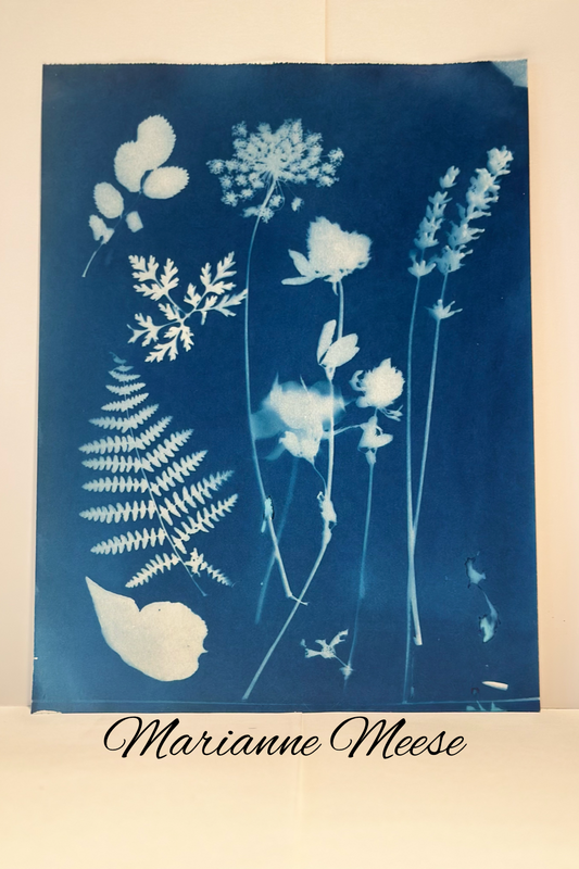 A Pressed Memory