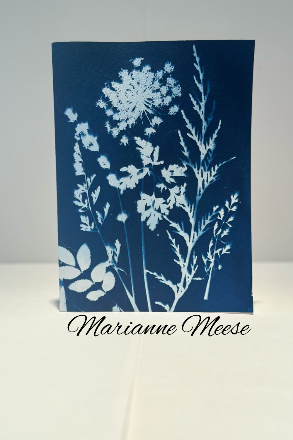 Steeped In Blue And Bloom