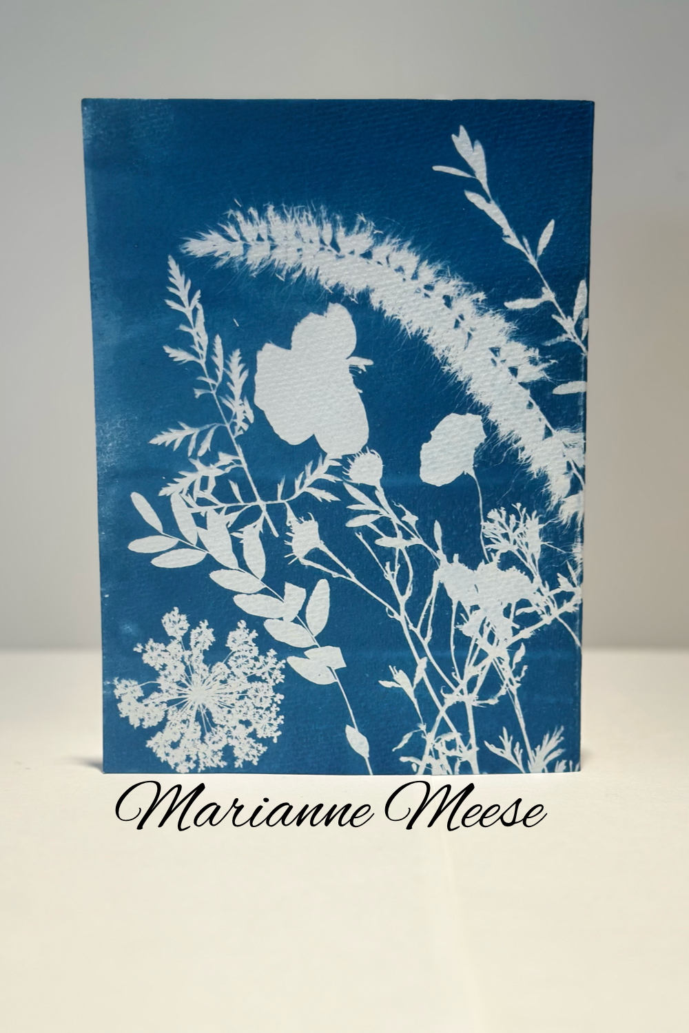 A Midsummer Abundance