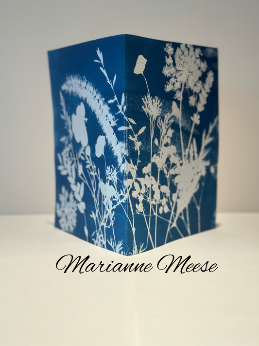 A Midsummer Abundance